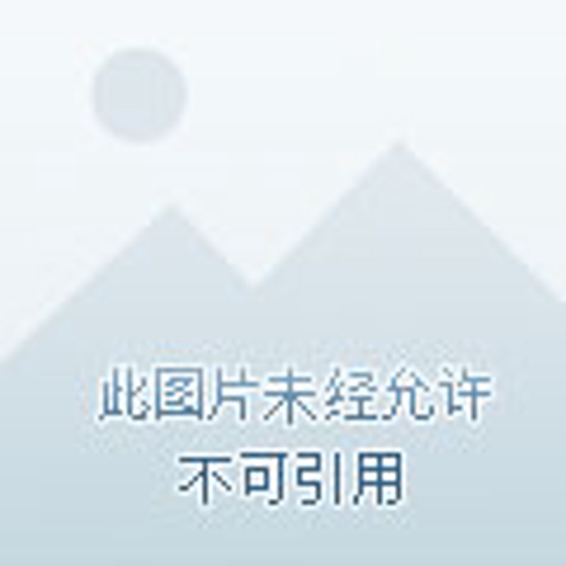 小米账号冻结现象：原因与应对策略